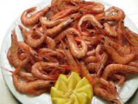 GAMBA ARROCERA 